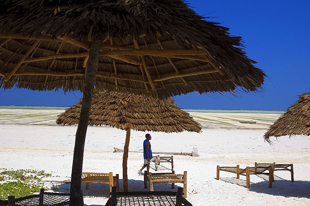 Thatched beach umbrellas and traditional sunbeds made from coconut wood on the beach at Paje, Zanzibar, Tanzania, East Africa, Africa