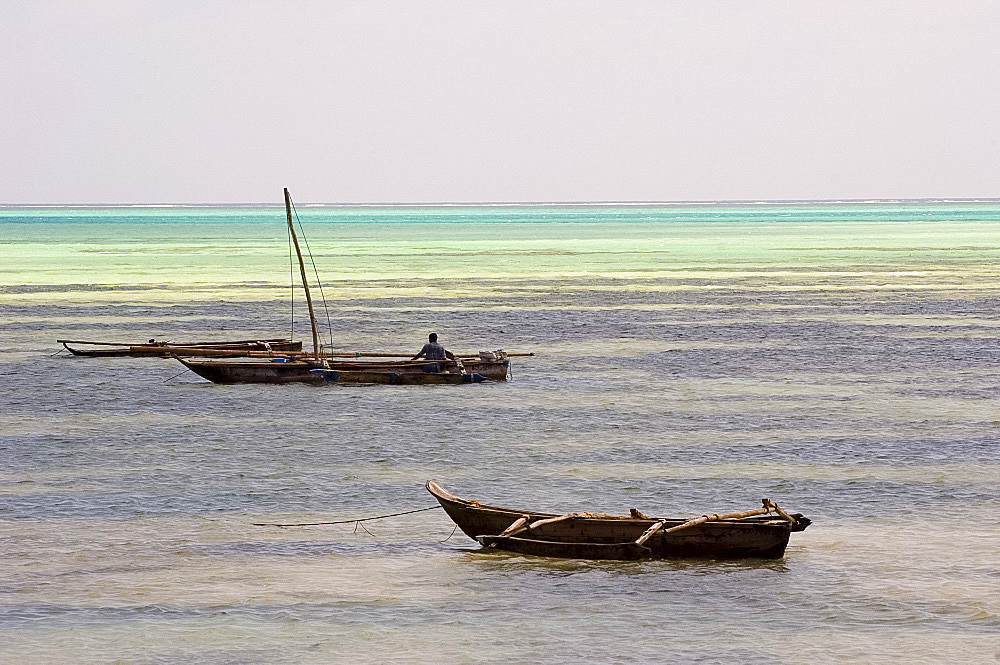 Traditional wooden dhows in the sea near Paje, Zanzibar, Tanzania, East Africa, Africa