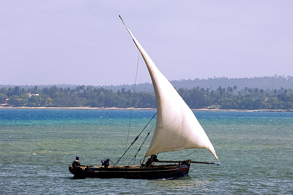 A traditional wooden dhow sailing off the coast of Zanzibar, Tanzania, East Africa, Africa