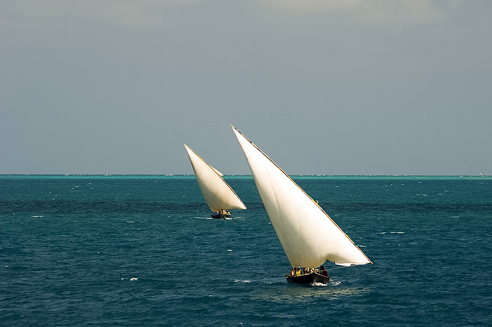 Cargo dhows sailing toward Stone Town harbour, Zanzibar, Tanzania, East Africa, Africa