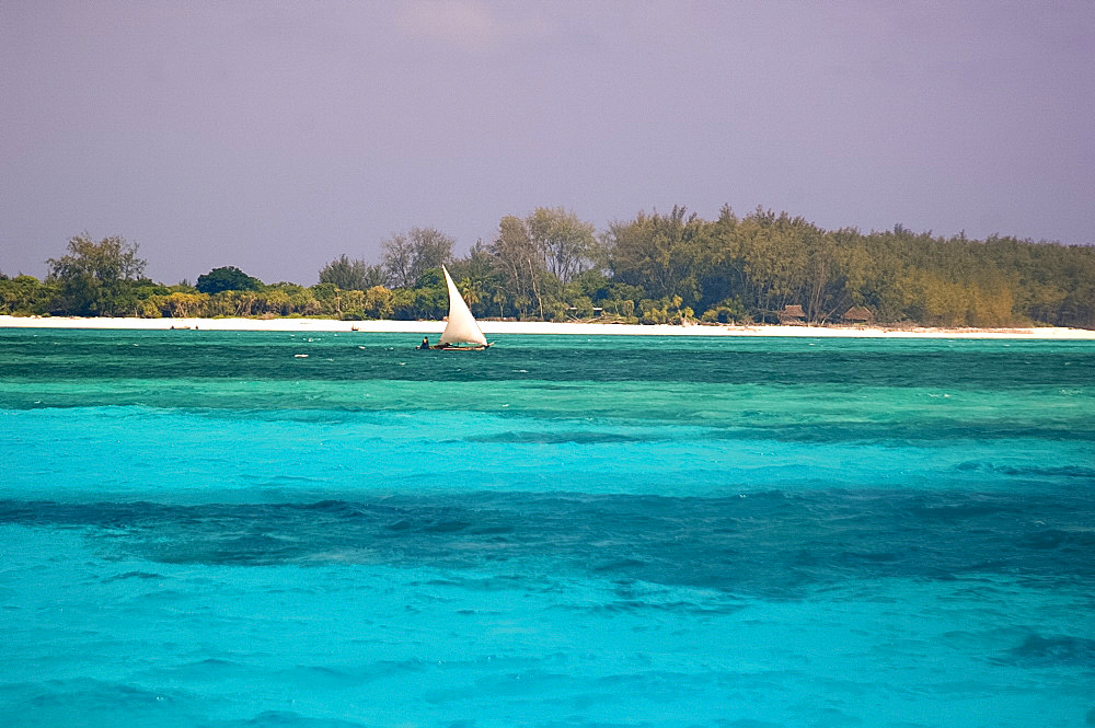 A dhow sailing in the blue seas close to Mnemba Island near Zanzibar, Tanzania, East Africa, Africa