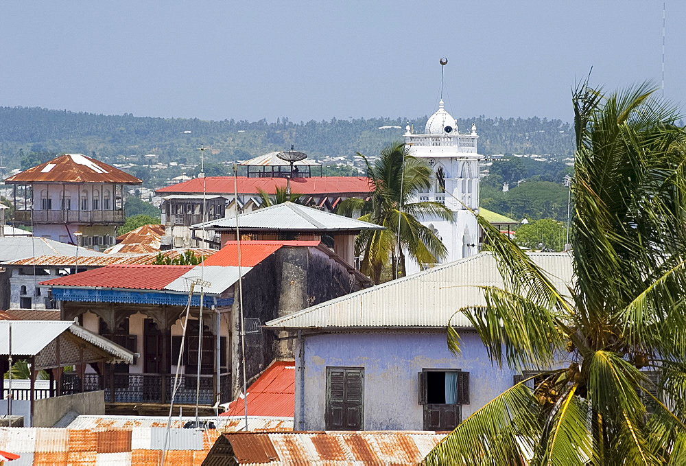 A view of the Stone Town skyline, UNESCO World Heritage Site, Zanzibar, Tanzania, East Africa, Africa