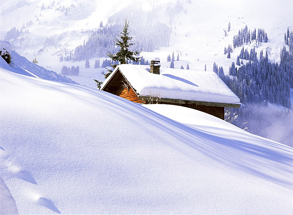 Old barn and fresh snow, Wengen, Switzerland, Europe