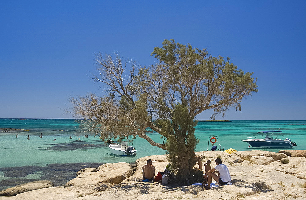 People sitting under a small tree for shade on the beach at Elafonisi in Western Crete, Grek Islands, Greece, Europe