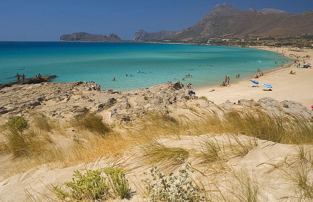 Beach grass growing in sand dunes along the beach at Phalassarna (Falassarna) on the western coast of Crete, Greek Islands, Greece, Europe