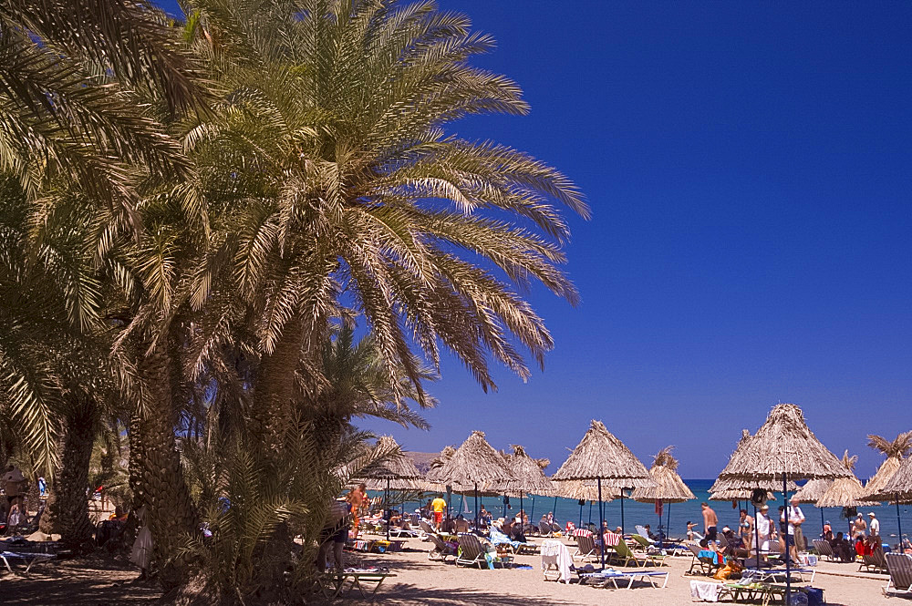 A view of the palm fringed beach at Vai in Eastern Crete, Greek Islands, Greece, Europe