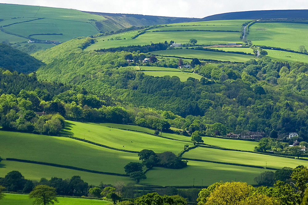 Rolling hills in springtime near Selworthy, Somerset, England, United Kingdom, Europe