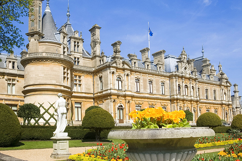 A stone urn planted with yellow primulas in the garden in front of Waddesdon Manor in spring, Aylesbury, Buckinghamshire, England, United Kingdom, Europe