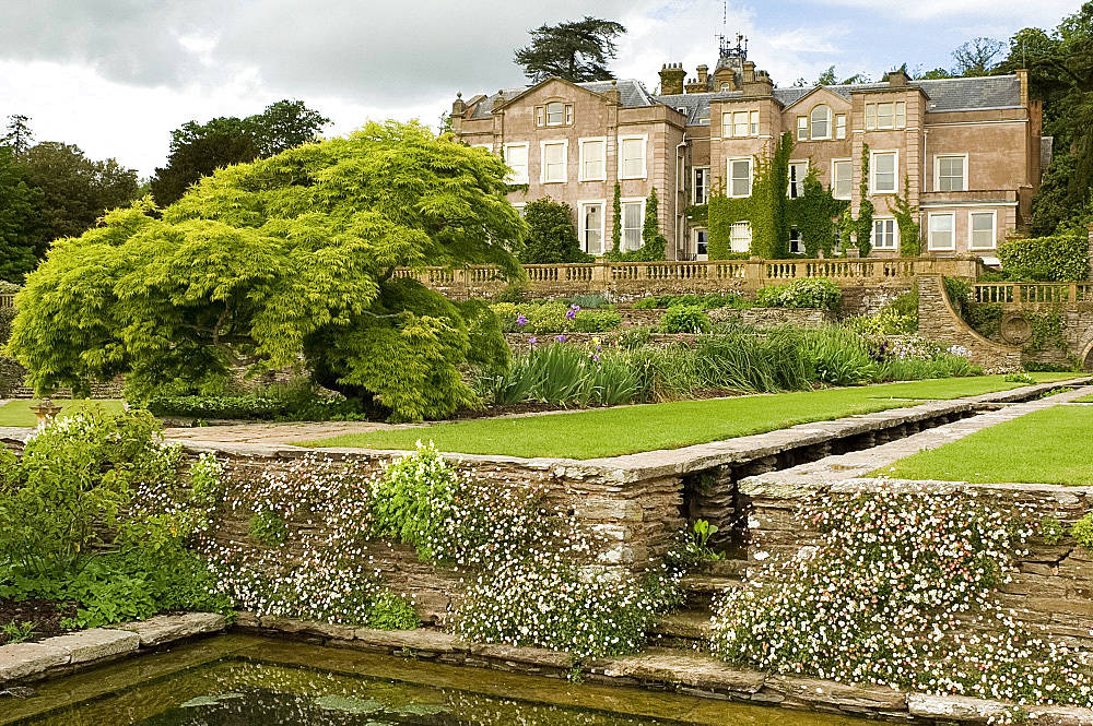 Hestercombe Garden, a terraced garden featuring stone canals leading to stone ponds, with a large acer tree and house beyond, designed by Gertrude Jekyll and Edwin Lutyens, Taunton, Somerset, England, United Kingdom, Europe