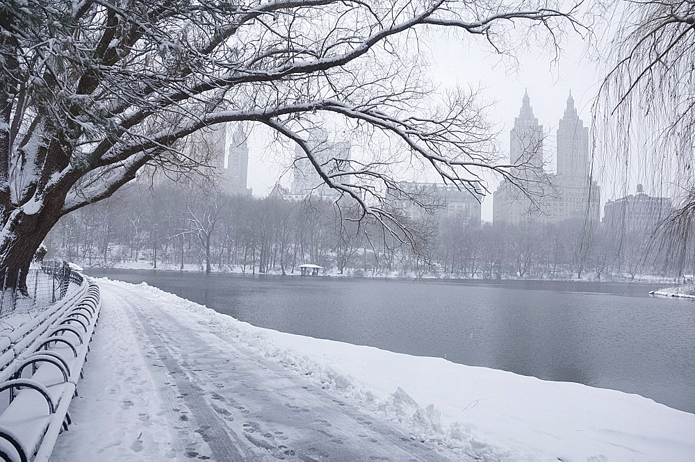 Snow covered trees and benches in Central Park, New York City, New York State, United States of America, North America