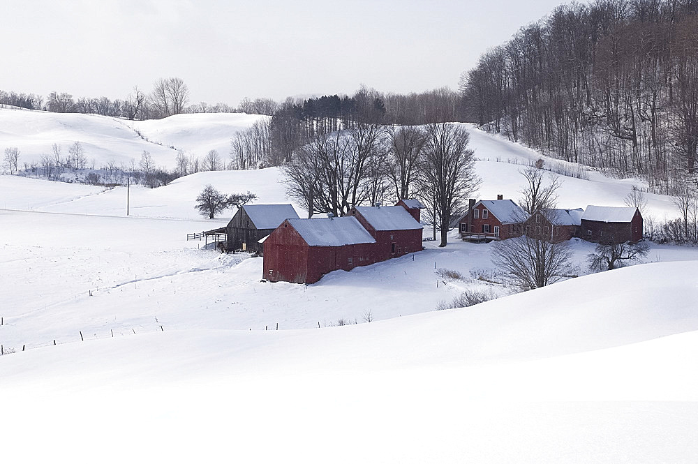 A traditional farm surrounded by snow covered fields in South Woodstock, Vermont, New England, United States of America, North America