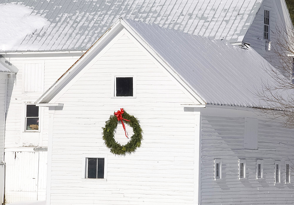 A white painted barn with a large Christmas wreath on the side, Vermont, New England, United States of America, North America