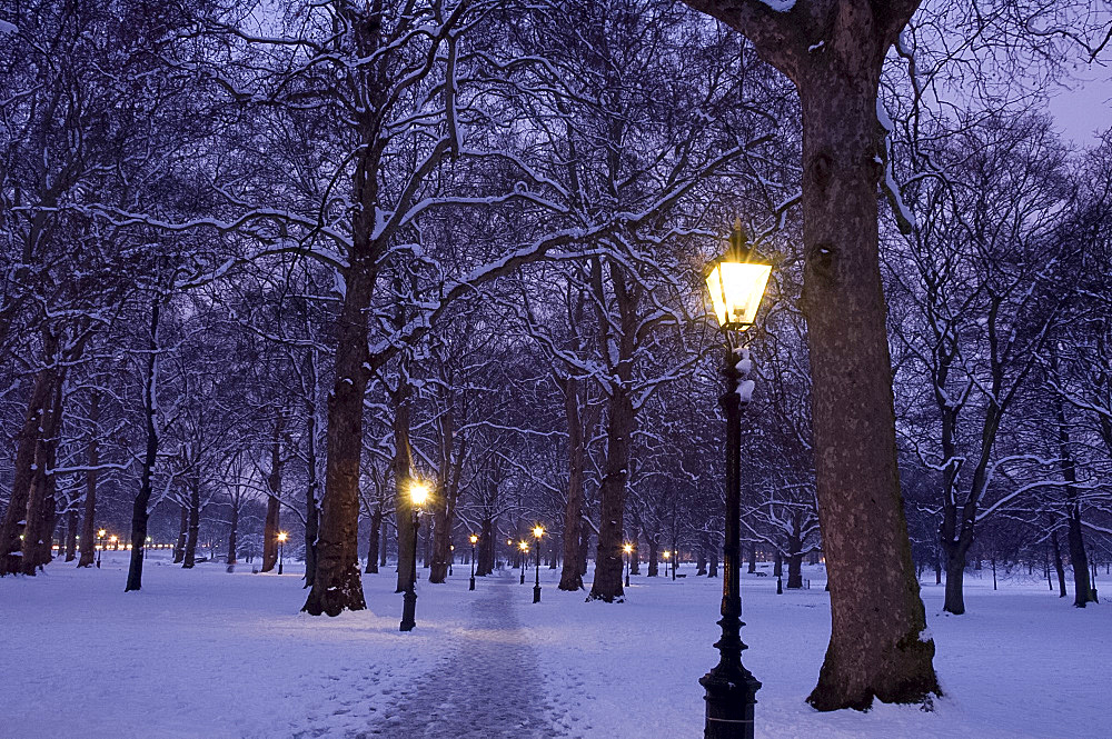 Snow covered trees at dusk in Green Park, London, England, United Kingdom, Europe