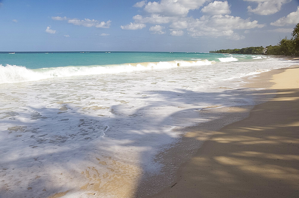 Palm tree shadows on the sand in Alleynes Bay on the west coast of Barbados, Windward Islands, West Indies, Caribbean, Central America