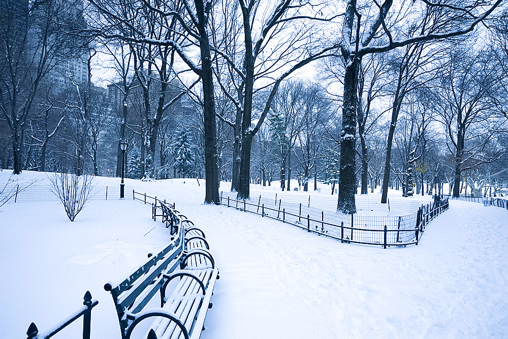 An early morning view of Central Park after a snowstorm, New York City, New York State, United States of America, North America