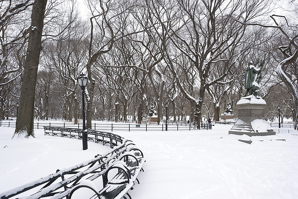 Early morning in Central Park after a fresh snowfall, New York City, New York State, United States of America, North America