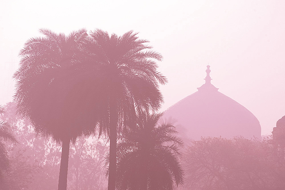 The dome of a temple in early morning mist in Delhi, India, Asia