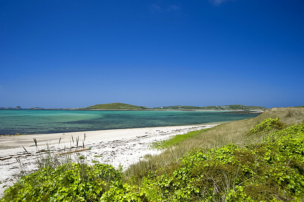 A sandy beach on the island of Tresco, The Scilly Isles, United Kingdom, Europe