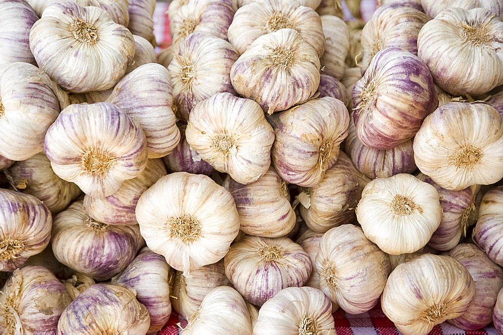 Garlic for sale in the market in Creysse, Dordogne, France, Europe