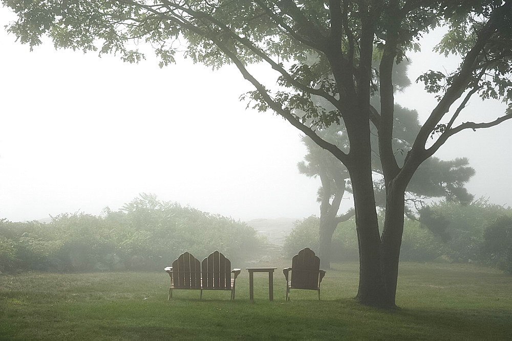 A foggy morning on Muscle Point near Gloucester, Massachussetts, New England, United States of America, North America