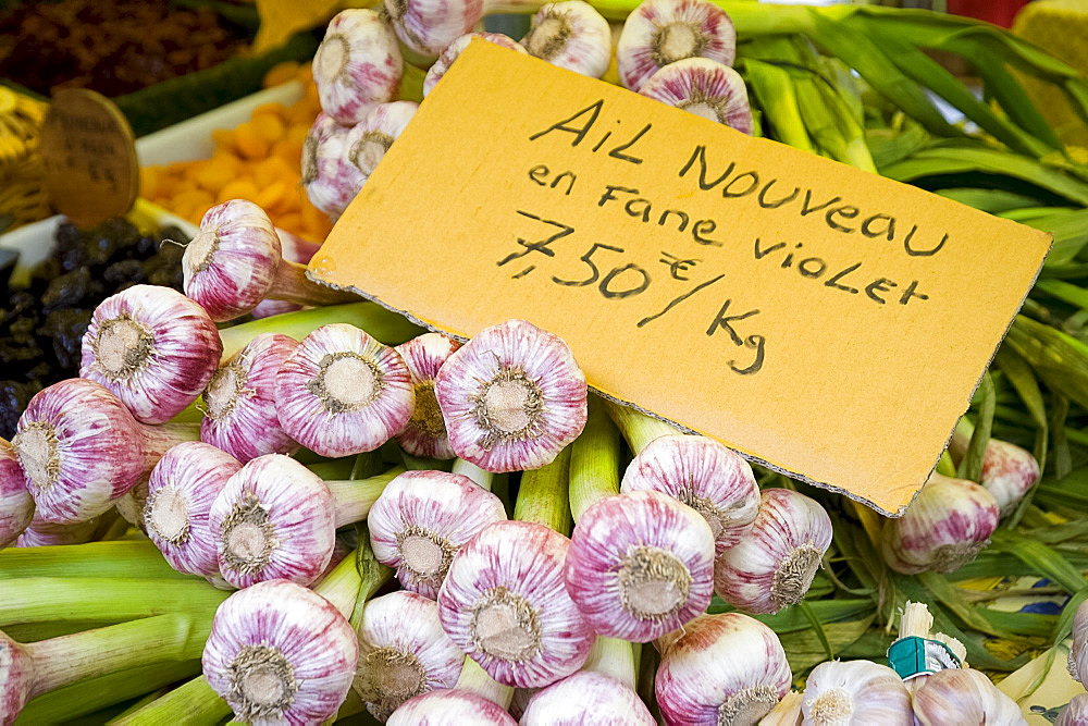 Fresh garlic for sale at the weekly market in Uzes, Provence, France, Europe