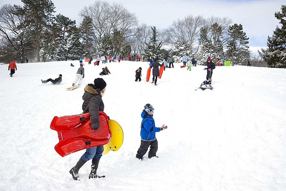 People sledding in Central Park after a snowstorm in New York City, New York State, United States of America, North America