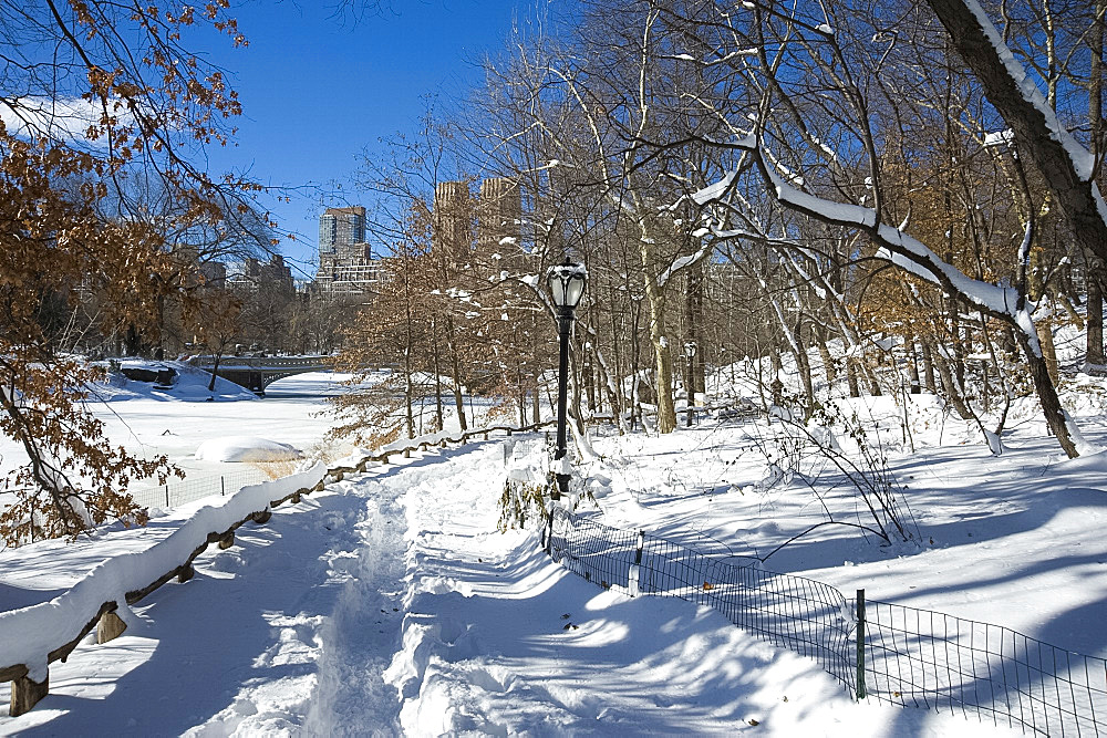 Fresh snow in Central Park after a blizzard, New York City, New York State, United States of America, North America