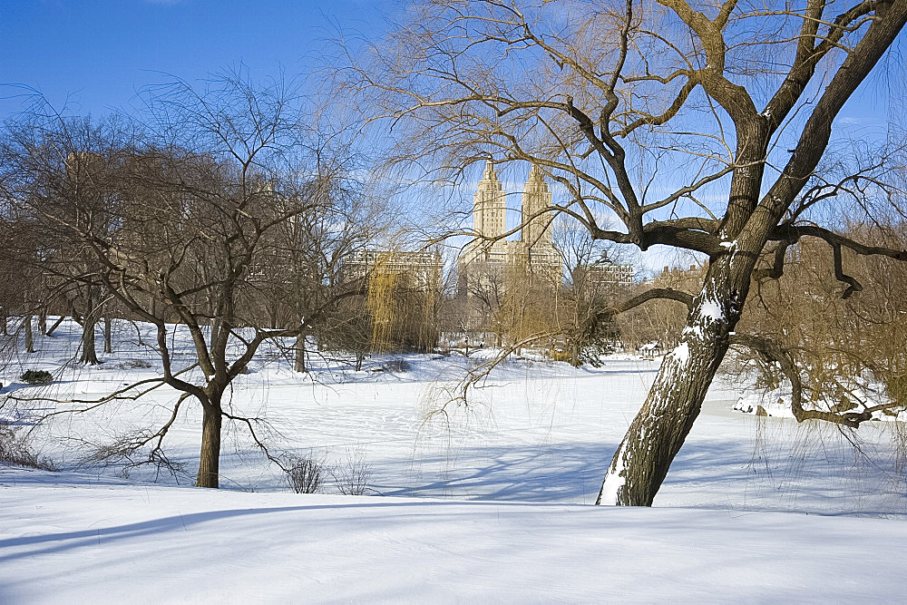 Fresh snow in Central Park, New York City, New York State, United States of America, North America