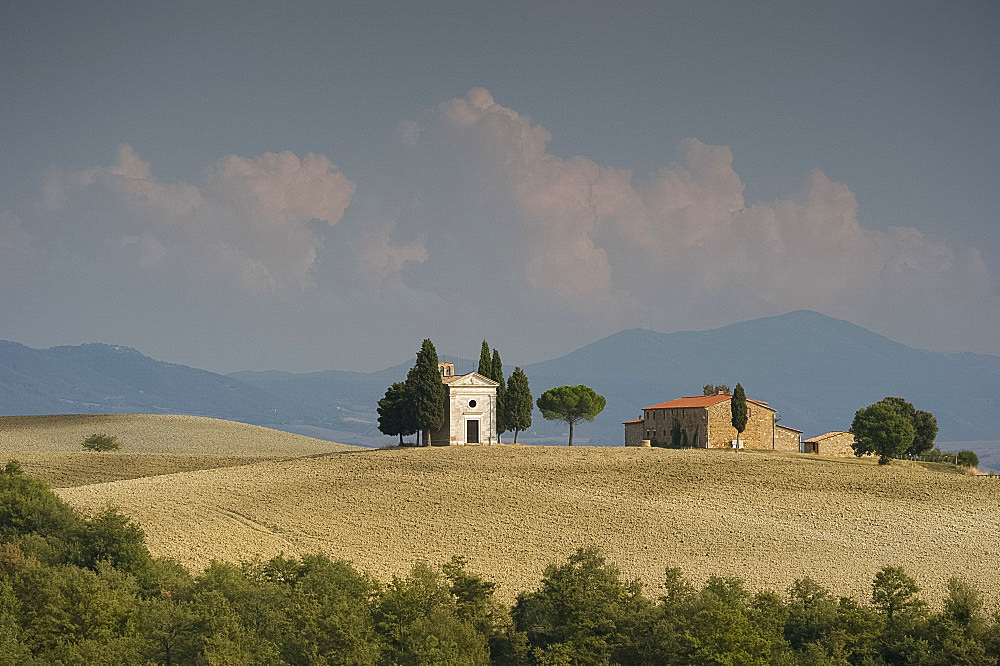 The Chapel Vitaleta and cypress trees on the rolling hills of Val d'Orcia, UNESCO World Heritage Site, Tuscany, Italy, Europe