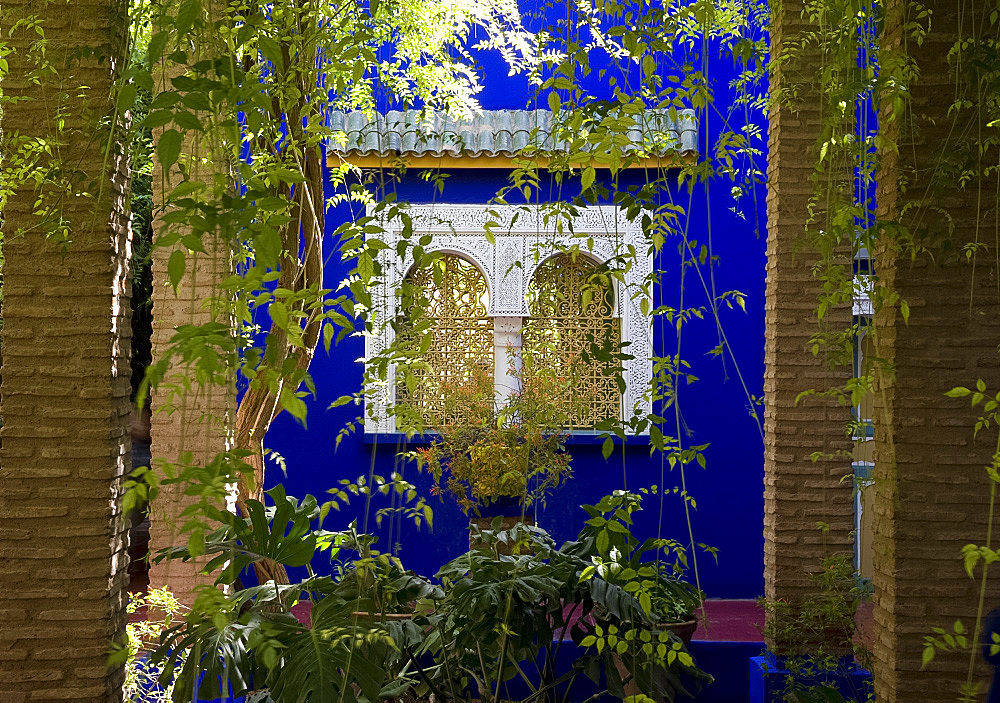 A view through a pergola to ornate windows surrounded by colbalt blue walls at the Majorelle Garden in Marrakech, Morocco, North Africa, Africa