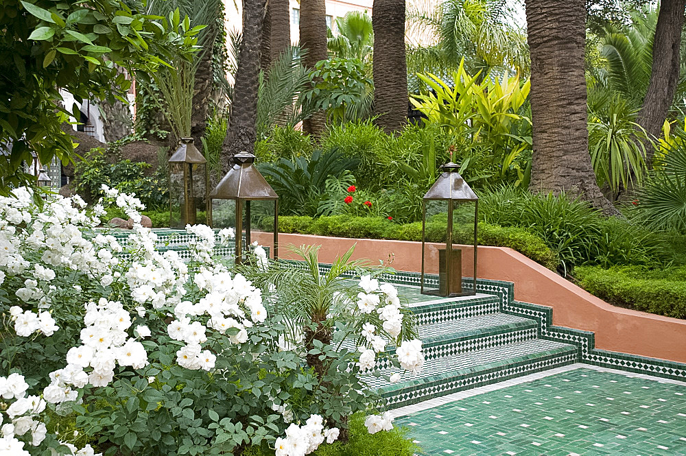 White roses and palm trees in the garden at La Mamounia Hotel in Marrakech, Morocco, North Africa, Africa