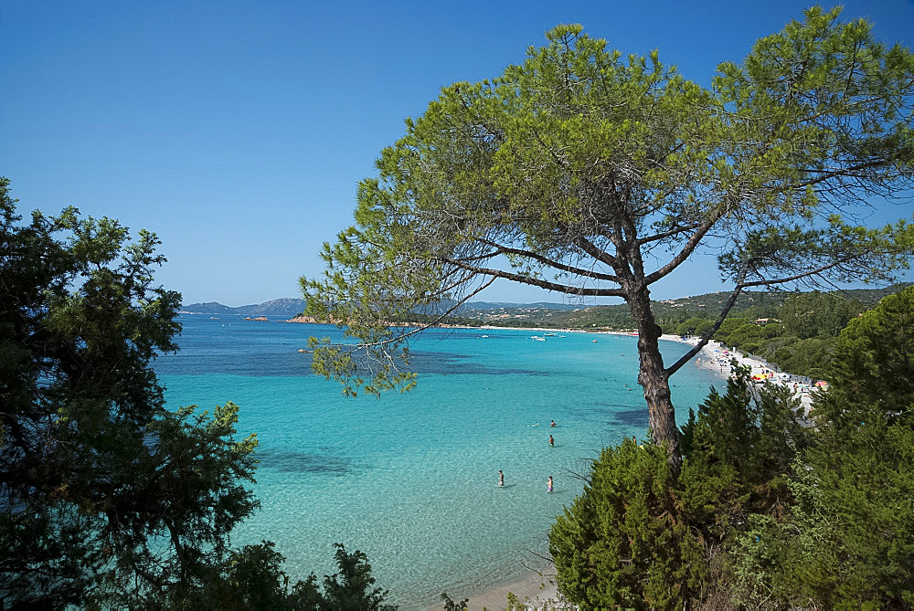 An elevated view of Palombaggia Beach near Porto-Vecchio, Corsica, France, Mediterranean, Europe