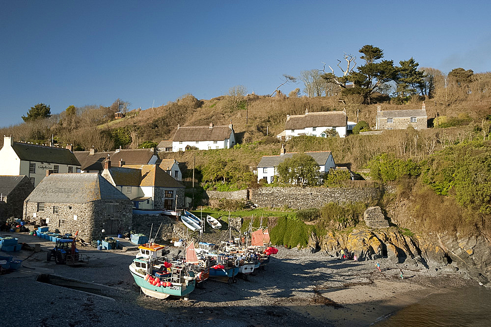 Colourful wooden fishing boats in Cadgwith Harbour on the Lizard Peninsula in Cornwall, England, United Kingdom, Europe