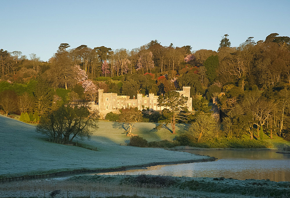 Sunrise at Caerhays Castle with magnolias in bloom behind the castle and early sun reflected in the lake, St. Austell, Cornwall, England, United Kingdom, Europe