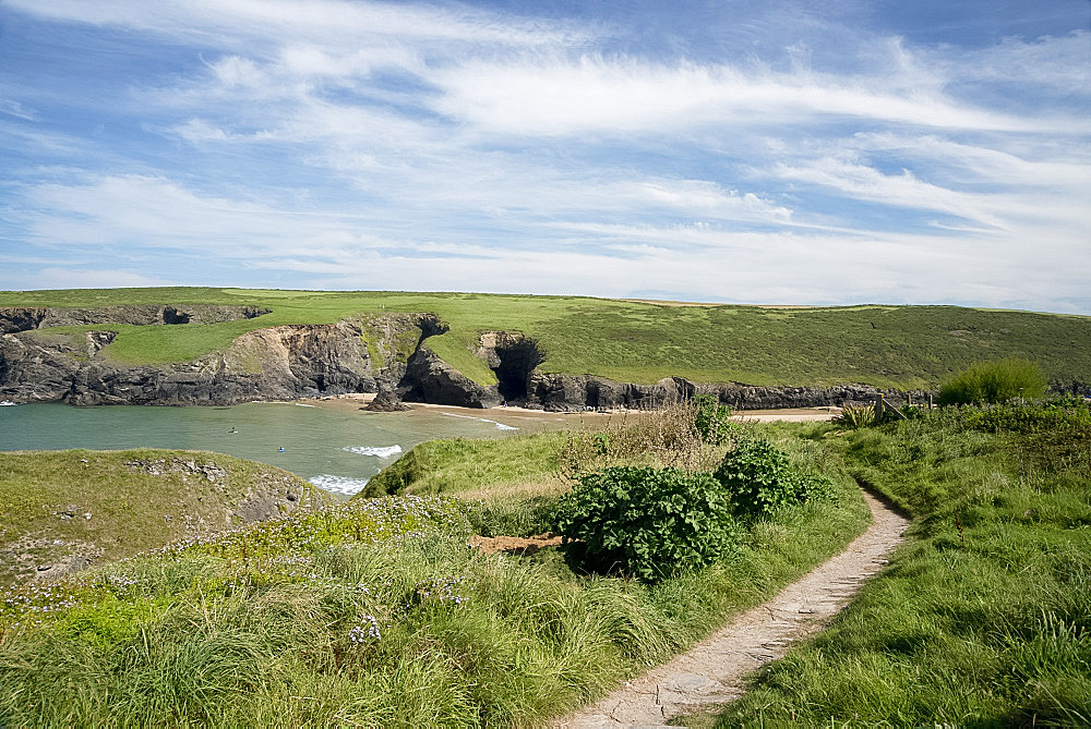 A cliff path near Porthcothan Bay, Cornwall, England, United Kingdom, Europe