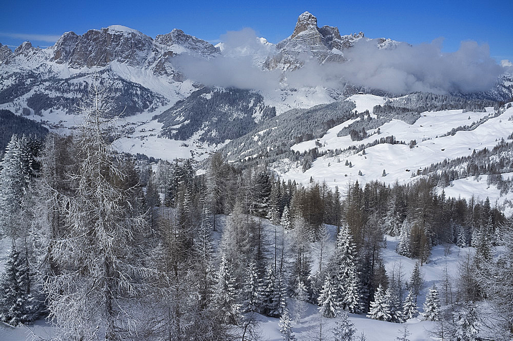 A view over snow covered pine trees to Sassongher Mountain from Alta Badia ski resort in the Dolomites, South Tyrol, Italy, Europe