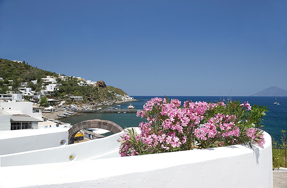 Pink mimosa on a terrace and white washed walls in San Pietro on Panarea, the Aeolian Islands, UNESCO World Heritage Site, Messina Province, off Sicily, Italy, Mediterranean, Europe