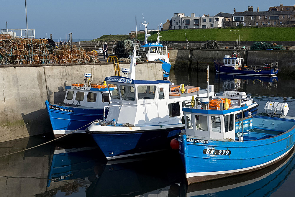 Fishing boats and Farne Island excursion boats in the harbour in Seahouses, Northumberland, England, United Kingdom, Europe