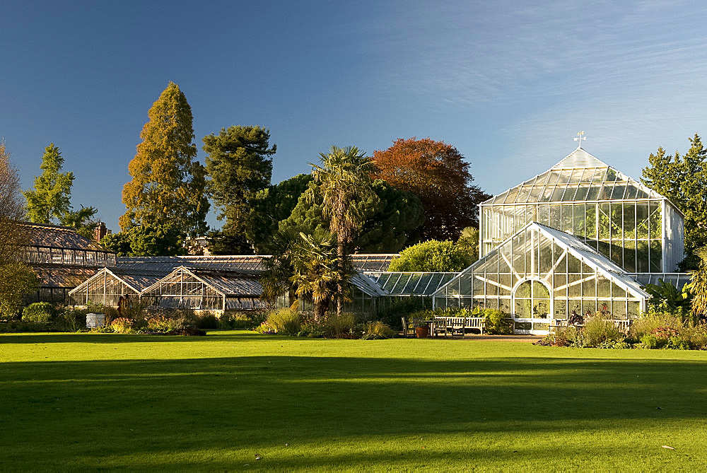 The glasshouses on an autumn day in The Cambridge Botanic Garden, Cambridge, Cambridgeshire, England, United Kingdom, Europe