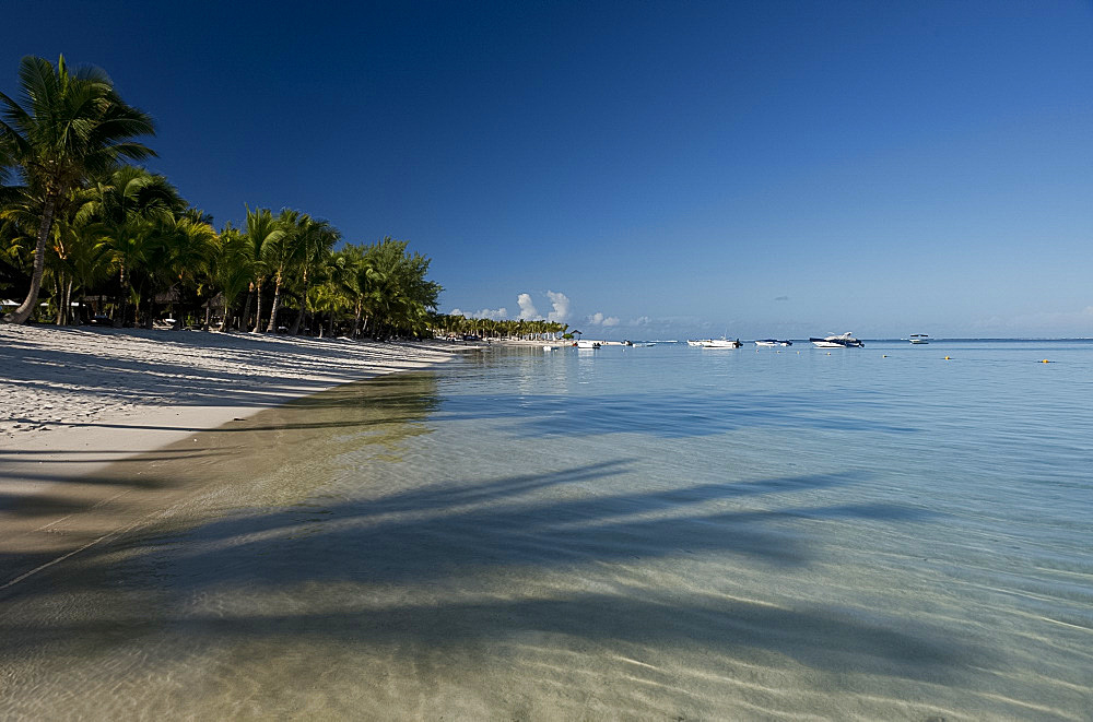 Palm trees and a white sand beach at the Lux Le Morne Hotel on  Le Morne Brabant Peninsula, Mauritius, Indian Ocean, Africa