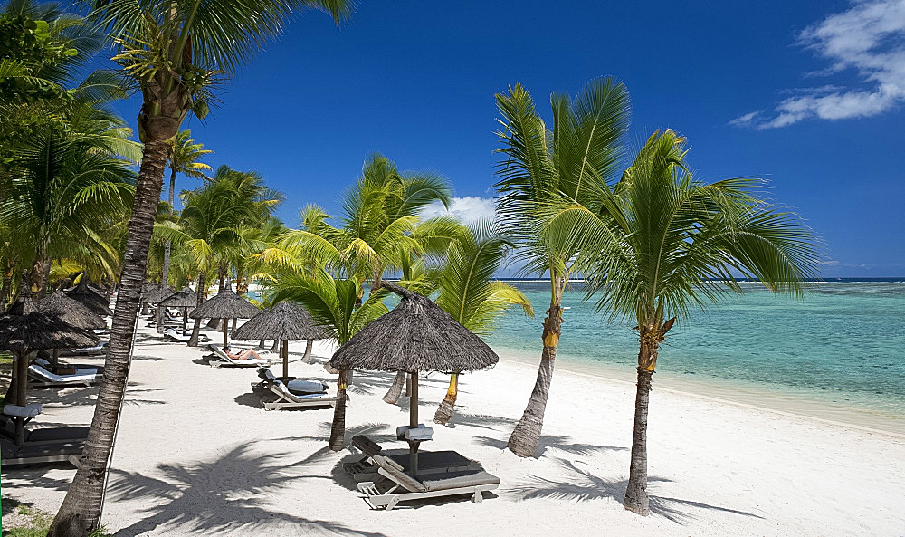 Palm trees and a white sand beach near the Lux le Morne Hotel, on the Le Morne Peninsula, Mauritius, Indian Ocean, Africa