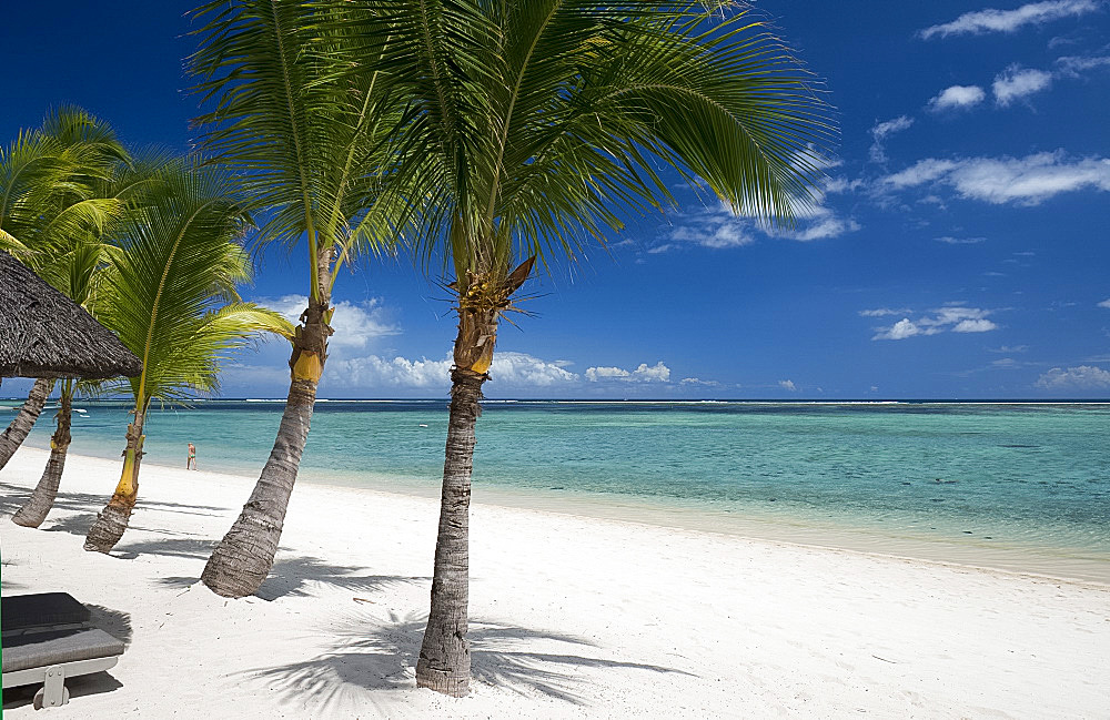 Palm trees and a white sand beach near the Lux le Morne Hotel, on the Le Morne Peninsula, Mauritius, Indian Ocean, Africa