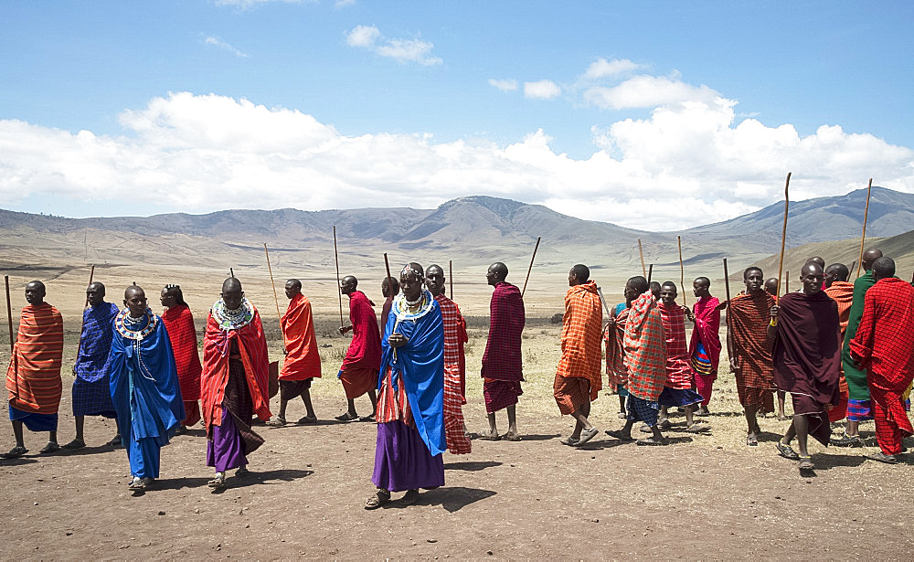 Masai tribesmen performing a traditional dance in Ngorongoro Conservation Area, Tazania, East Africa, Africa