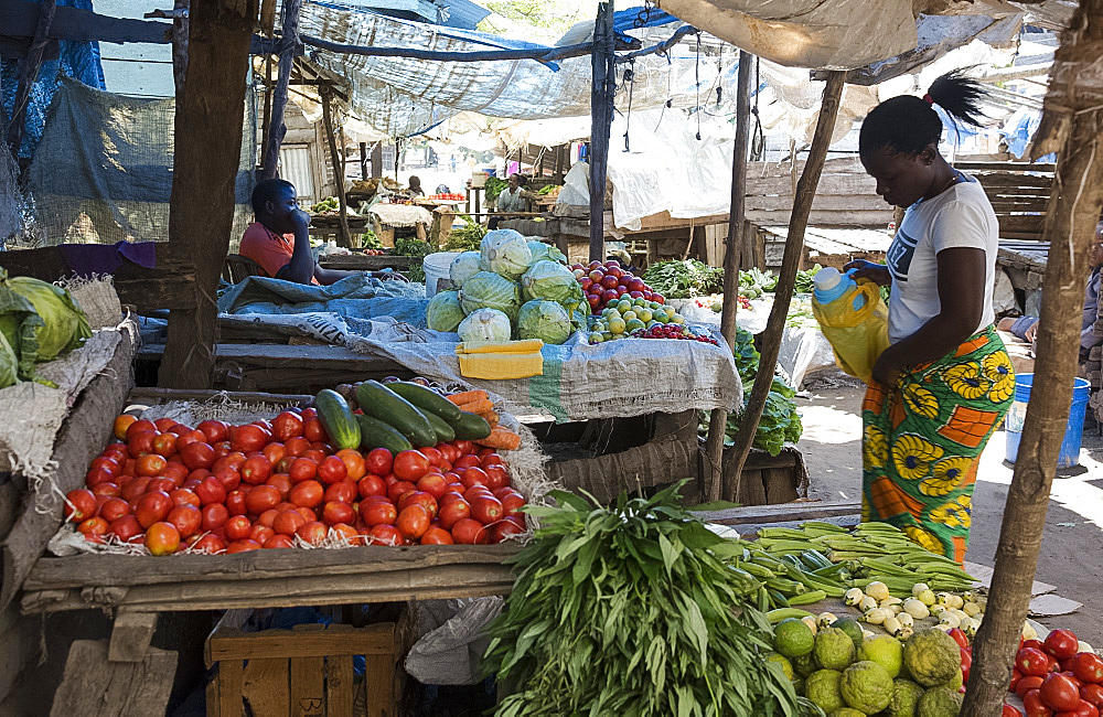 A wide variety of colourful fruit and vegetables on sale in the market in Pangani, Tanzania, East Africa, Africa