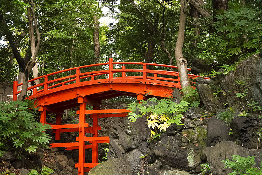 The famous red painted Tsutenkyo Bridge in Koshikawa Korakuen Garden, Tokyo, Honshu, Japan, Asia