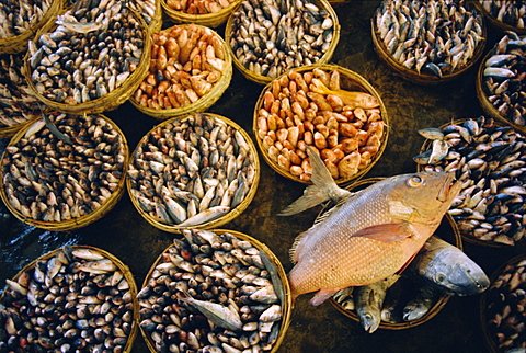 Fish market, Hue, Vietnam