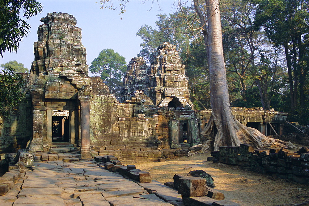 Ruins at archaeological site, Ta Prohm temple, Angkor, UNESCO World Heritage Site, Cambodia, Indochina, Southeast Asia, Asia