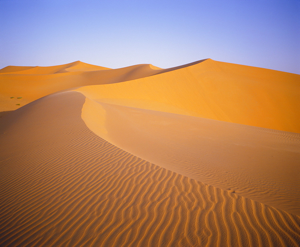 Sand dunes, Grand Erg Occidental, Sahara Desert, Algeria, Africa 