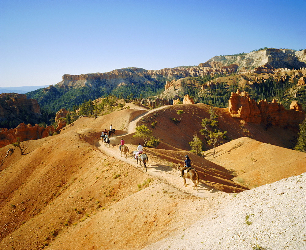 Trail riding, Bryce National Park, Utah, USA