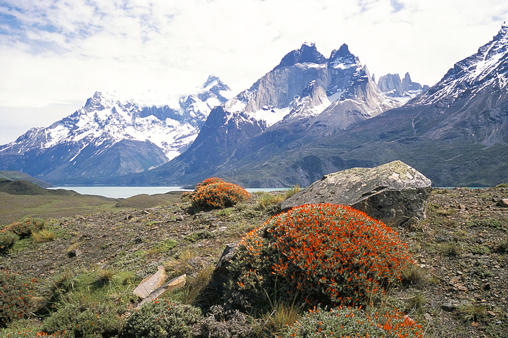 Torres del Paine National Park, Patagonia, Chile, South America